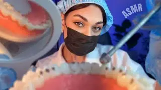 ASMR: dentista cuida dos seus dentinhos com carinho 🦷 🪥