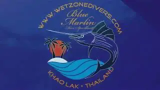 Wetzone Divers & Blue Marlin Dive Speed Boat