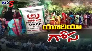 యూరియా గోస : Telangana Farmers Struggling For UREA | Waiting In Queue For Hours | TV5 News