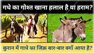 Gadhe Ka Gost Halal hai Ya Haram | Why Allah Created Donkey | Gadhe ka Gost Khana keisa hai ||