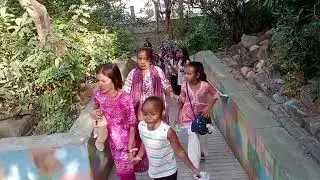 Butterfly park Visit at Kankaria 