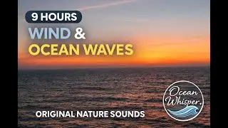 Powerful Ocean Wind White Noise 🌊 9.5 Hours Sleep, Anxiety Relief & Focus I Sunrise and Twilight