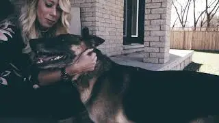 Courtney Levert Exit Realty | Pawsitive Property Charity |
