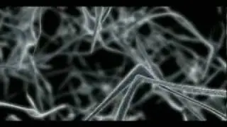 Beefcake - Moondrops