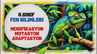 8.Sınıf Fen Bilimleri - Modifikasyon Mutasyon Adaptasyon #konuanlatımı