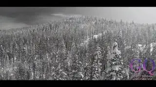 Snow Black & White (Kingvale Highway 80) / Exclusive
