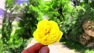 Hoper valley Nagar best views | Best place in North Pakistan | Gilgit baltistan