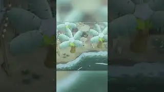 Decorate Your Hotel Like THIS In ACNH 3.0