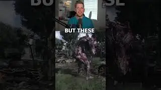 NEW ZOMBIE coming to Dying Light The Beast