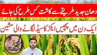MODERN Paddy Farming Made EASY! || Farming Expert 786