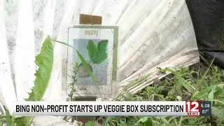 VINES Farm starts vegetable subscription service