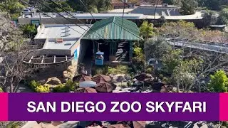 Ride the Skyfari at the San Diego Zoo-4K Realtime with Relaxing Music