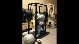 kali muscle is fake