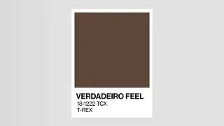 T-Rex - VERDADEIRO FEEL