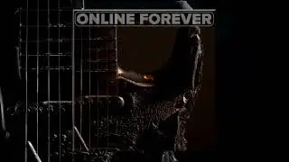 SOLD OUT Acoustic Guitar Sample Pack | Untitled Guitars | Online Forever Vol. 51