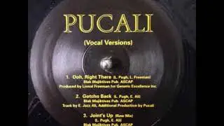 Pucali - Joint's Up