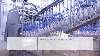 Marel VC-i intelligent vent cutter
