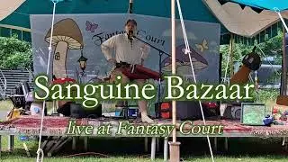 Sanguine Bazaar live at Fantasy Court