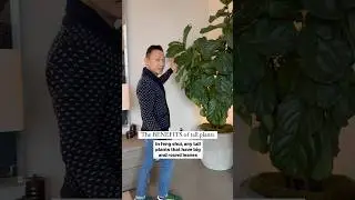The BENEFITS of tall plants