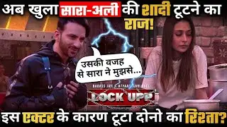 Ali Merchant Reveals The Reason of Divorce With Sara Khan; Actor Blame on This Star !