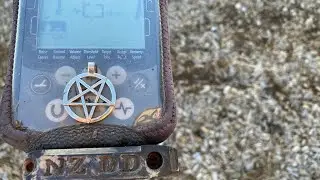 Metal Detecting Nz