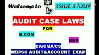 AUDIT CASE LAWS