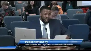 Marc Brown Speaks to SC Committee on Children about Supporting Kids' Mental Health