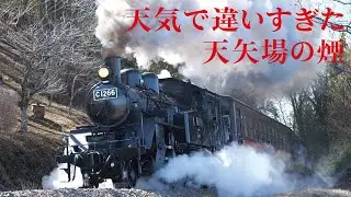 【栃木SLコラボ】SL大樹（鬼まつり・日光江戸村HM　緑プレートC11325）とSLもおか（C1266・真岡鐵道）【4K】Steam Locomotive