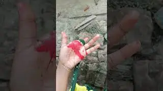 viral magic 🪄 can you do it ? but it's funny magic tricks tutorial &pound; fun only