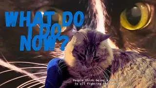 Mr. Meowmeow&rsquo;s Self-Care Routine 😼 #cat #funnycats #viral #petsoftiktok #strangedr