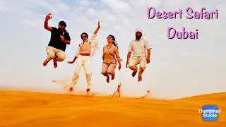 &ldquo;Desert dreams under a Dubai sky.&rdquo;#dubai #desertsafari #fireworks