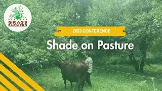50 Shades of Graze