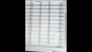 Forex robot with +$100,000.00 profit in one day
