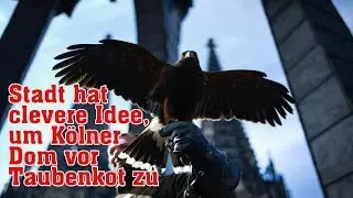 Stadt hat clevere Idee, um K&ouml;lner Dom vor Taubenkot zu sch&uuml;tzen