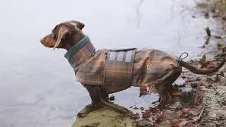 Cloud7 Dog Coat Brooklyn DACHSHUND Waxed Tartan