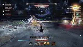 Hard Mode Fang Lair - Healer PoV