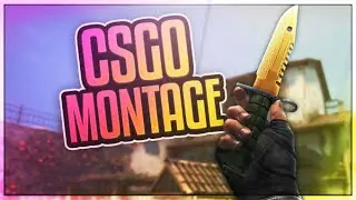 300❤ Csgo Montage (free to use)