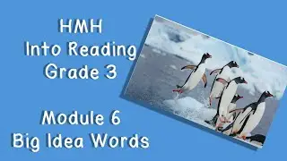 HMH Into Reading, 3 класс - Модуль 6. Ключевые слова.
