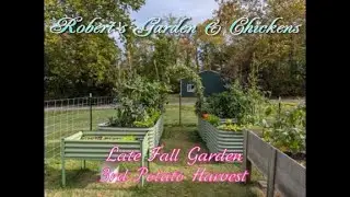 Ep.17...2025...Late Fall Garden & 3rd Potato Harvest