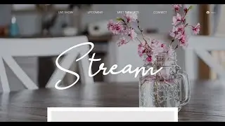 Live Streaming Platform - Made with Wix Editor X