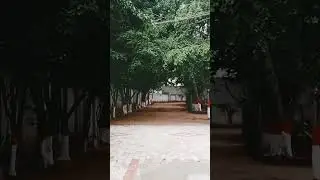 Cute and thrill nature #music