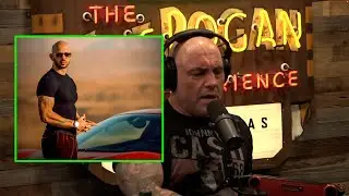 Joe Rogan Explains How Andrew Tate Broke The Algorithm