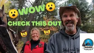 Horse Camping and Trail Riding in Algonquin Park/ Full Time Rv Lifestyle with horses