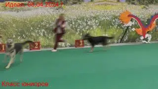 СЮ