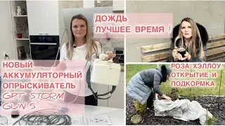 ЧТО С ШТАМБОВОЙ РОЗОЙ? АККУМУЛЯТОРНЫЙ ОПРЫСКИВАТЕЛЬ GPT STORM GUN 5 (DF-В5Li). НАДО СЕБЯ БАЛОВАТЬ !