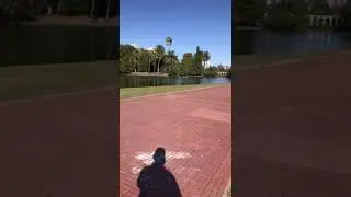 Lagos De Palermo Buenos Aires CABA
