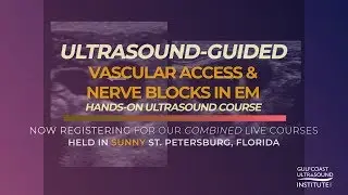 Ultrasound-Guided Vascular Access and Emergency Medicine Nerve Blocks at Gulfcoast