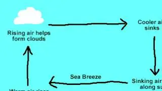 Types of clouds