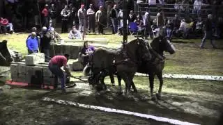 Draft Horse Pull 2013 Deerfield Fair NH Pulling Video 36