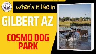 What's it like in Gilbert, Arizona? Cosmo Dog Park